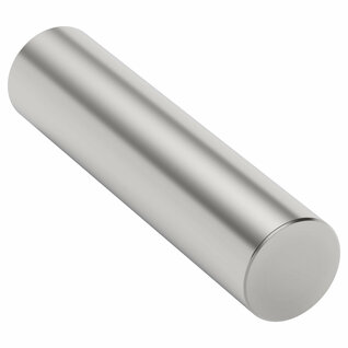 2100 Series Stainless Steel Round Shaft (12mm Diameter  25mm Length)
